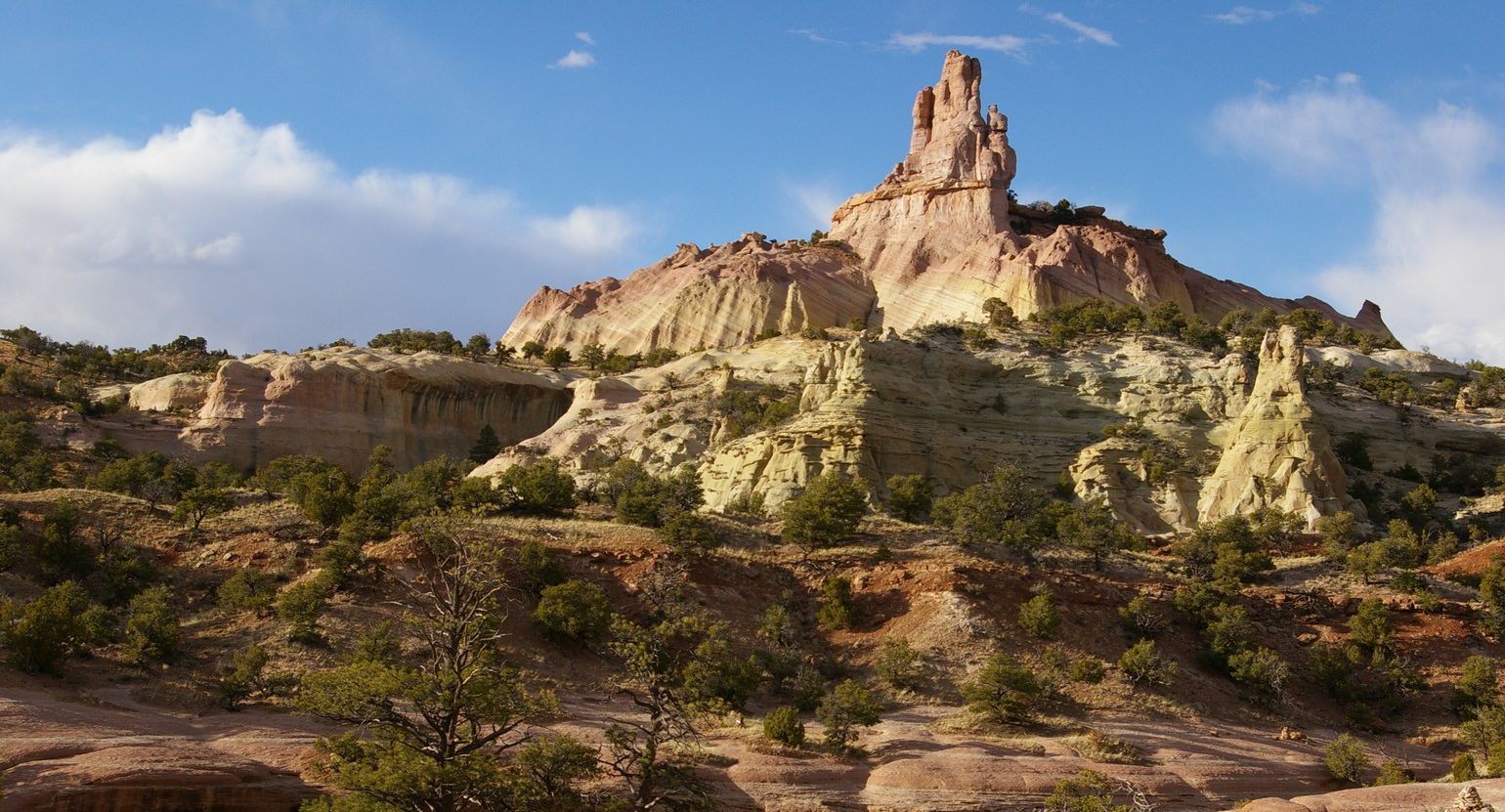 red rock state park new mexico