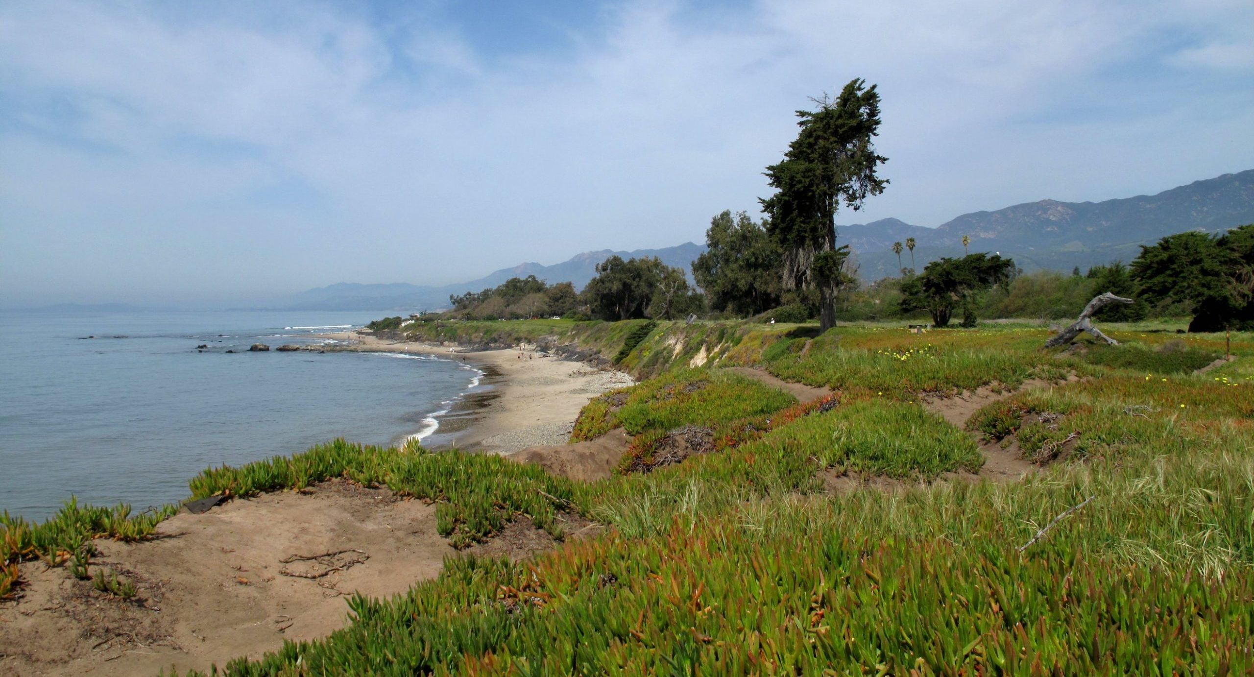What’s Inside Carpinteria State Beach Campground?