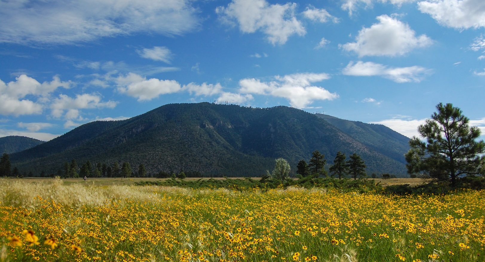 Buffalo Park Mountain