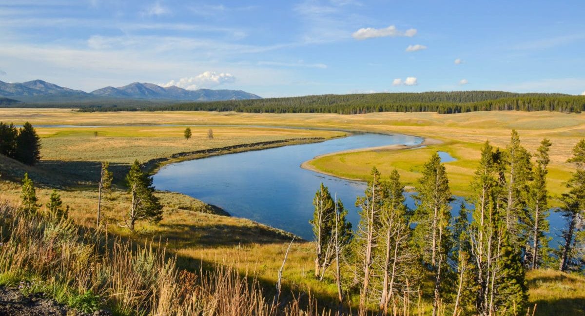 Expedition to Upper Falls and Hayden Valley