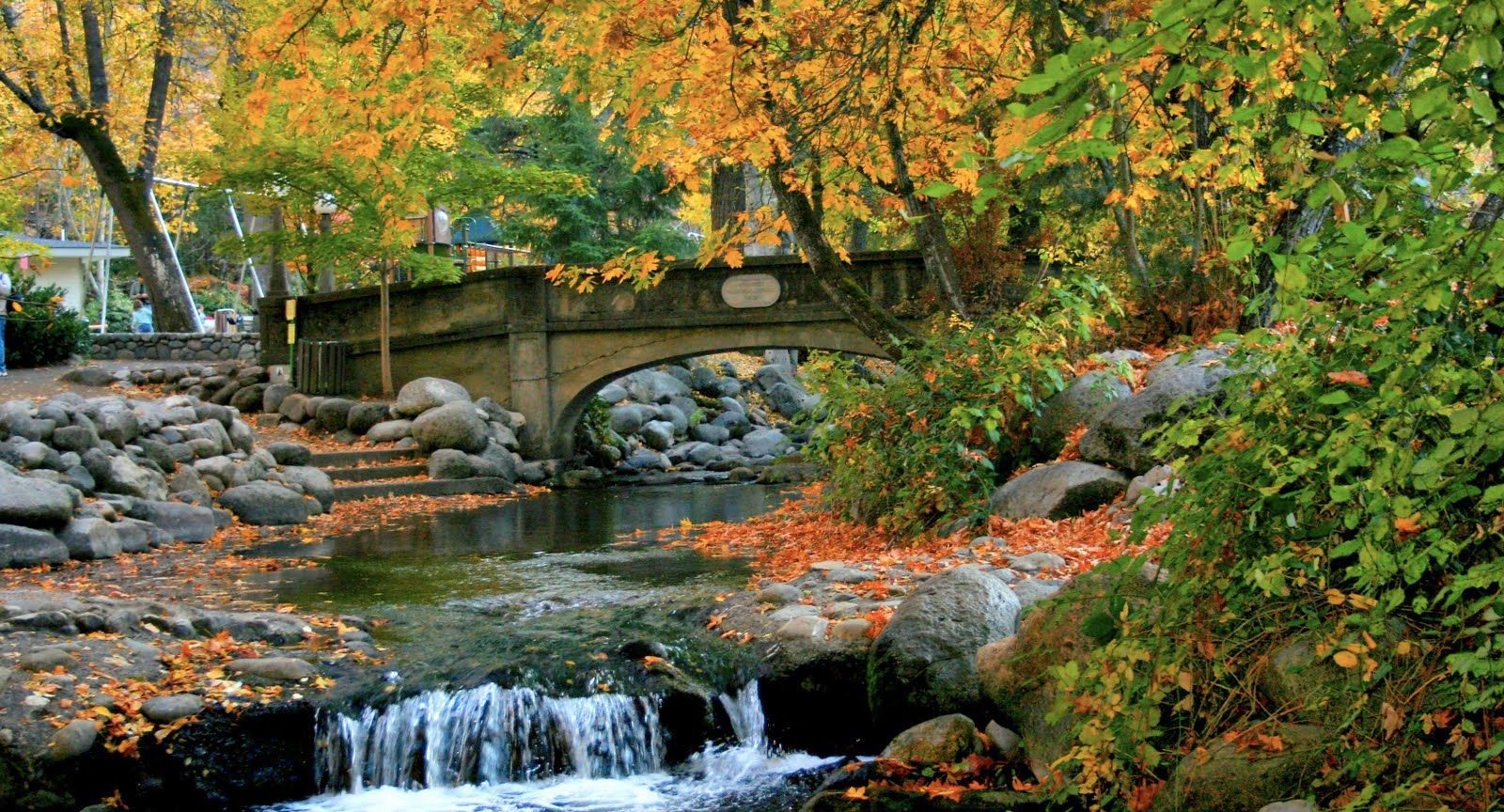 Lithia Park