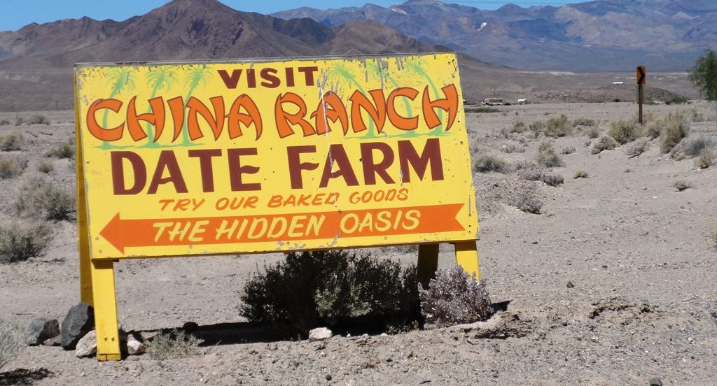 China Ranch Date Farm