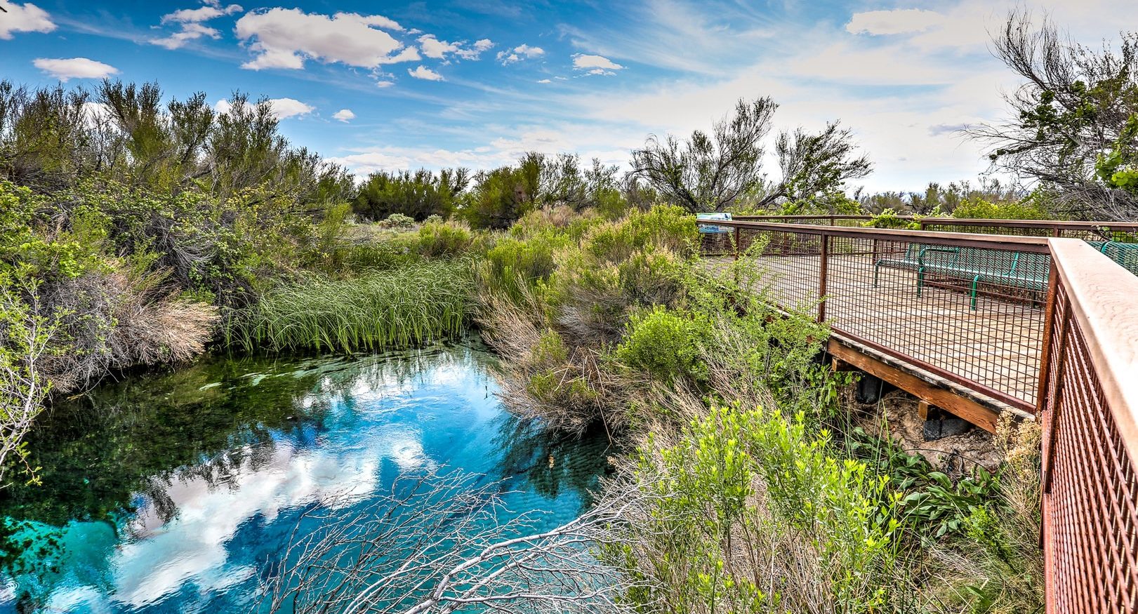 Ash Meadows National Wildlife Refuge