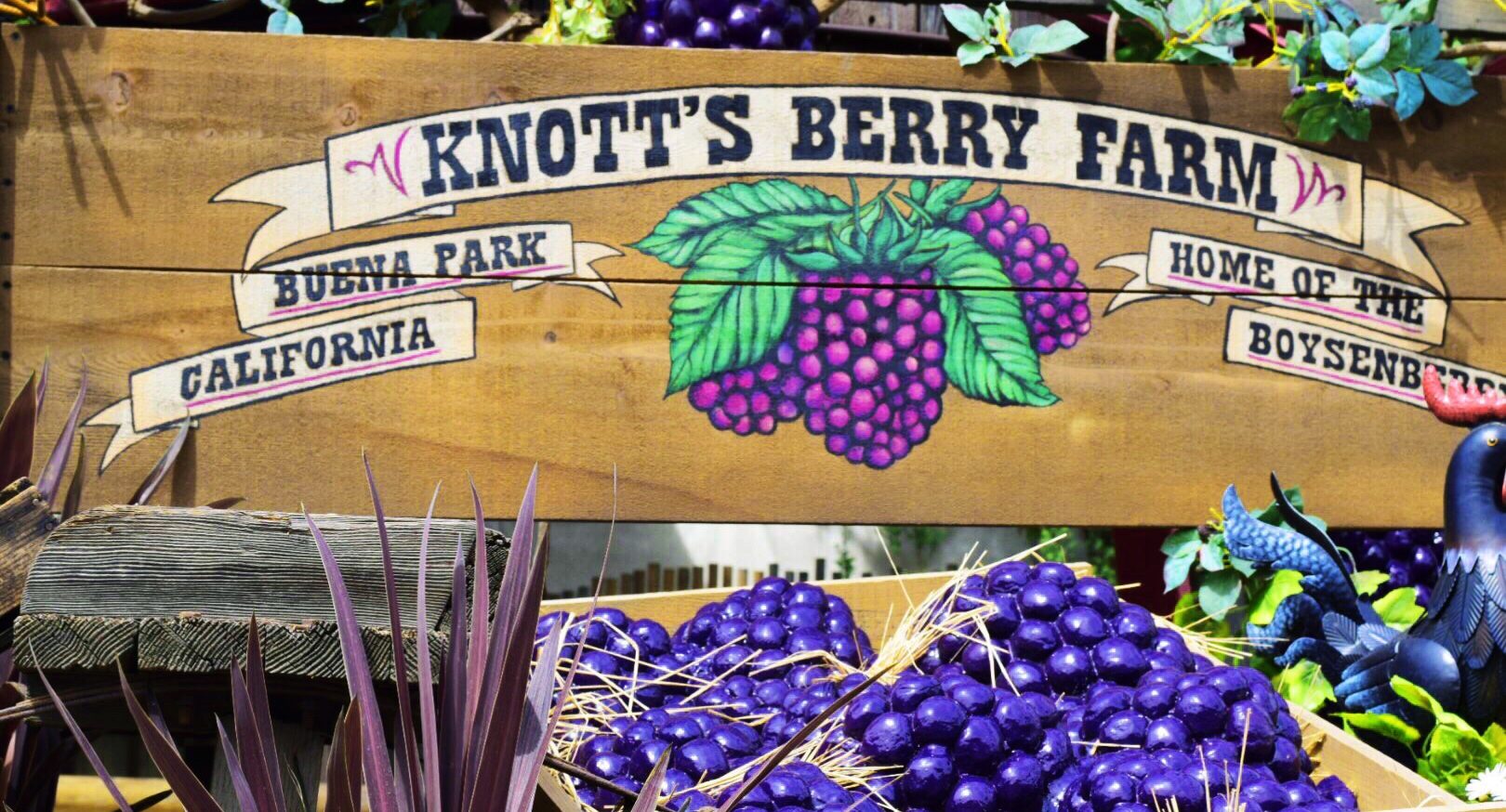 On the News at Knott’s Boysenberry Festival 2022